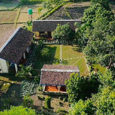 Bardia Eco Friendly Homestay Bardiya Luaran gambar