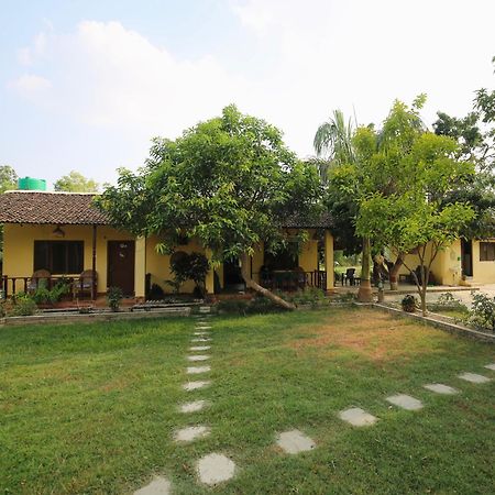 Bardia Eco Friendly Homestay Bardiya Luaran gambar