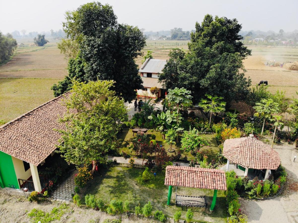Bardia Eco Friendly Homestay Bardiya Luaran gambar