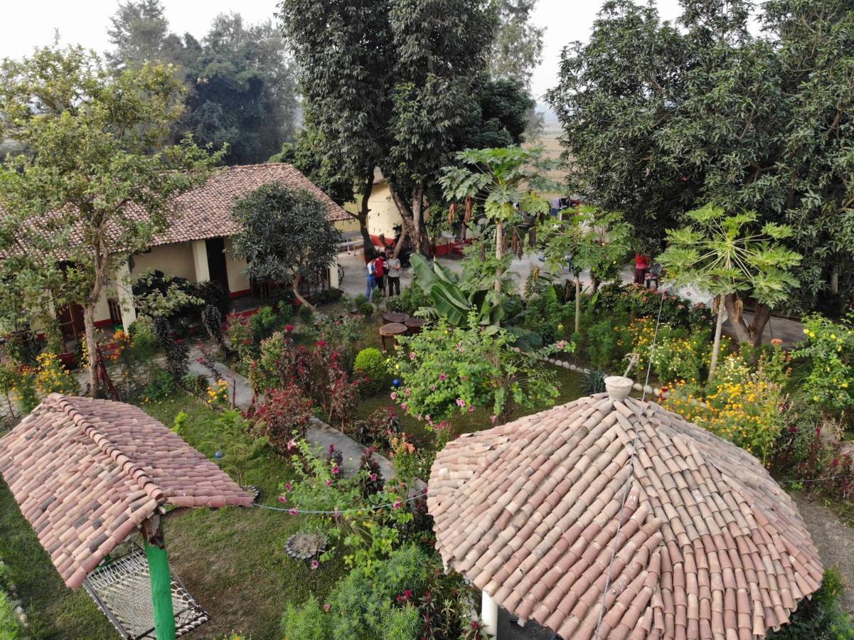 Bardia Eco Friendly Homestay Bardiya Luaran gambar