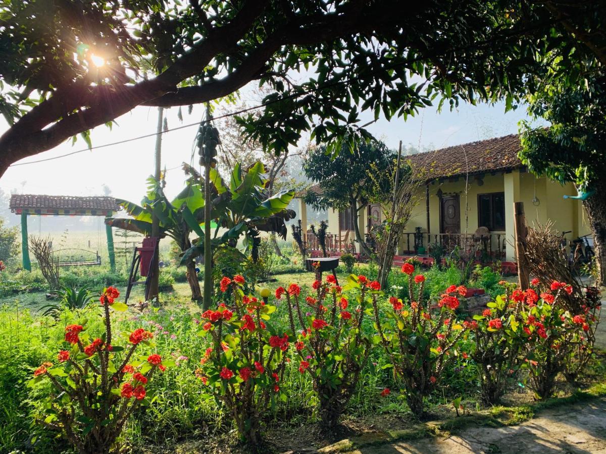 Bardia Eco Friendly Homestay Bardiya Luaran gambar